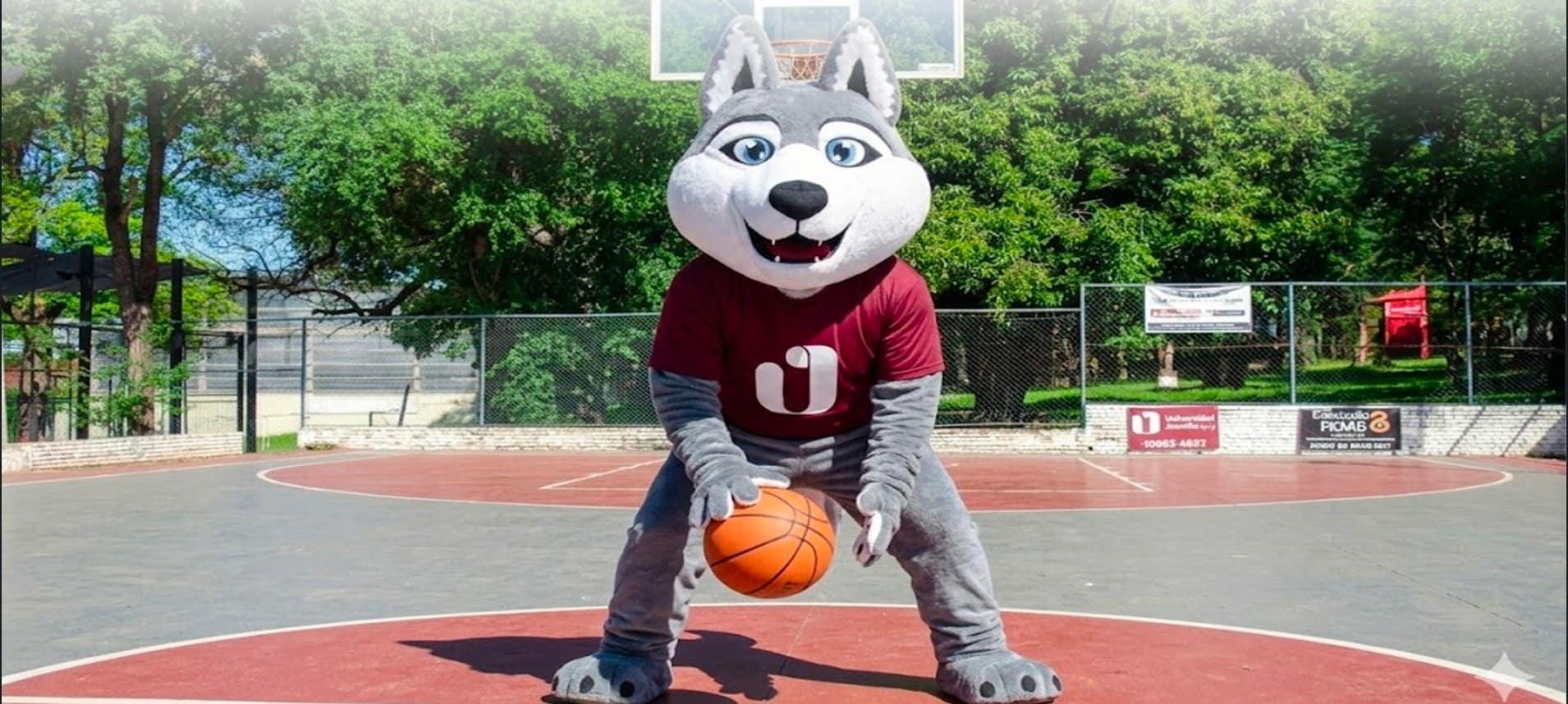 Lupi fomentando el trabajo en equipo